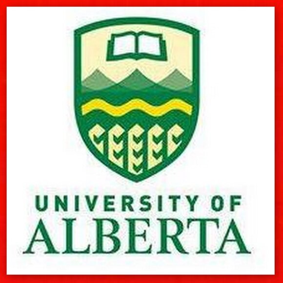 University of Alberta Vintage Golden Bears never worn Varsity Line Hockey Jersey - Picture 14 of 16